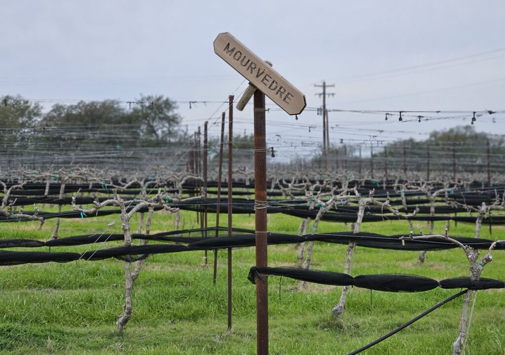 texas-wine-mourvedre-sign